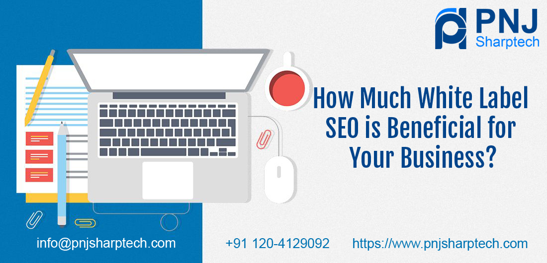 How Much White Label SEO Beneficial for your business.jpg