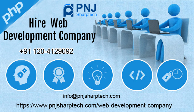 point consider when hire web development company