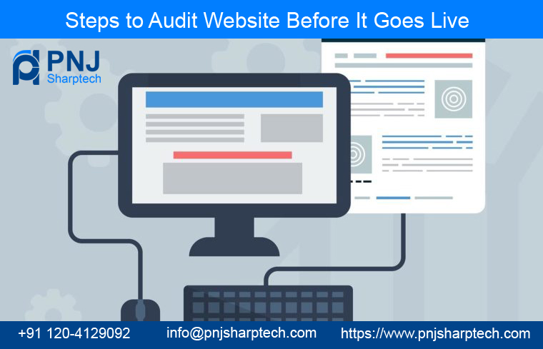 Audit Website Before It Goes Live