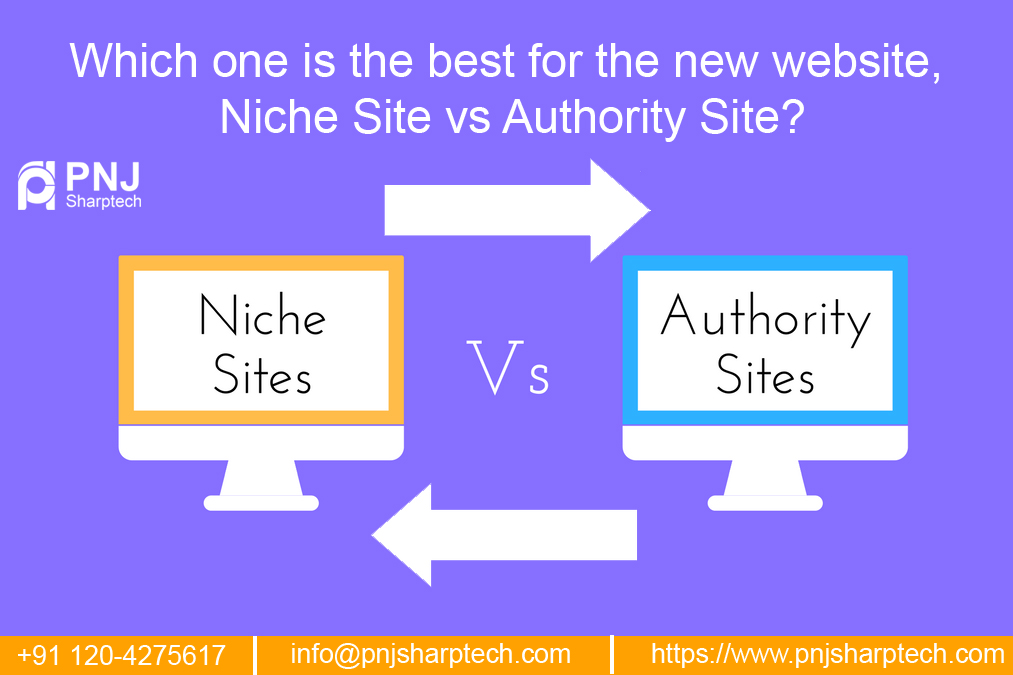 niche site vs authority site