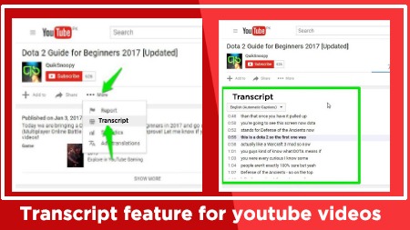 YouTube feature (Transcript)