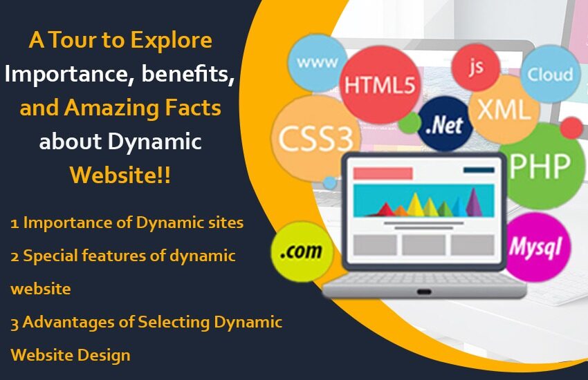 A Tour to Explore Importance, benefits, and Amazing Facts about Dynamic Website!!