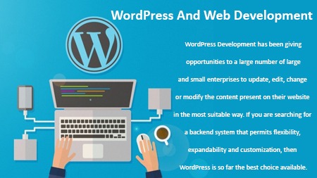 Wordpress and web development