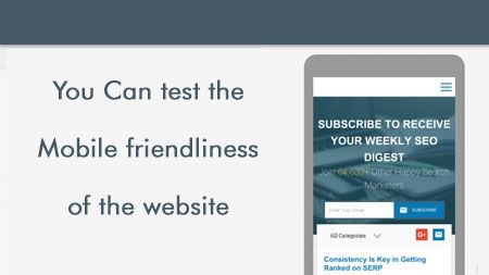 You can test the mobile friendliness of the website