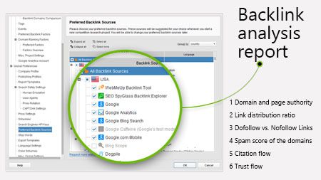 Backlink analysis report