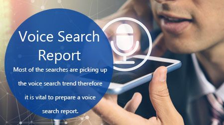 voice search report