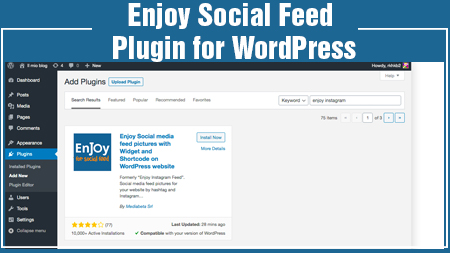 Enjoy Social Feed plugin for WordPress