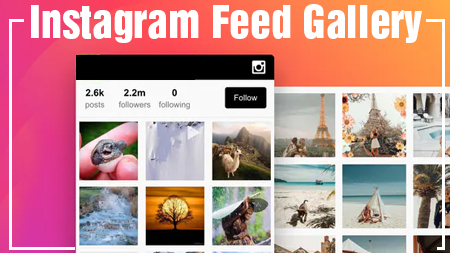 Instagram Feed Gallery
