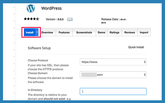 Install WordPress CMS